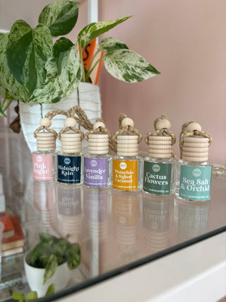 Car Diffusers | Core Scents - The Funky Zebras Clear Lake