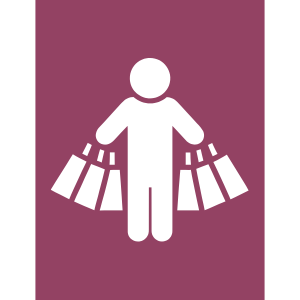 shopping icon
